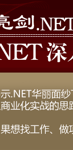 《亮剑.NET：.NET深入体验与实战精要》